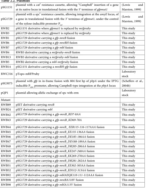 Table 2.2. Plasmids pSG1151 plasmid with a cat