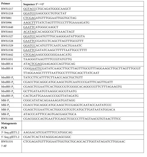 Table 2.3. Oligonucleotides Primer RWS1217 RWS1218 RWS881 
