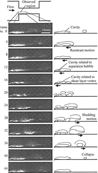 Figure 2-2: Process of cavity shedding, from formation of the re-entrant motion to collapse of the separated  bubbles (Sato &amp; Saito, 2002) 