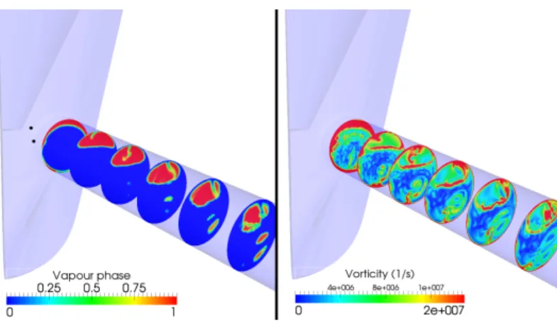 Figure 6: Vapour phase distribution and vorticity (P in j = 160 MPa − P back = 5 MPa).