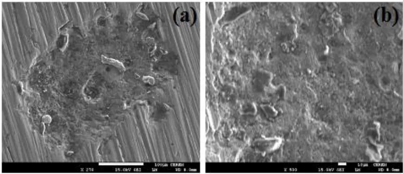 Figure 3.  SEM micrographs obtained on the API 5L grade X-70 pipeline steel electrode after its immersion for 24 h in 4.0 wt.% NaCl solution then stepping the potential to -0.35 V vs