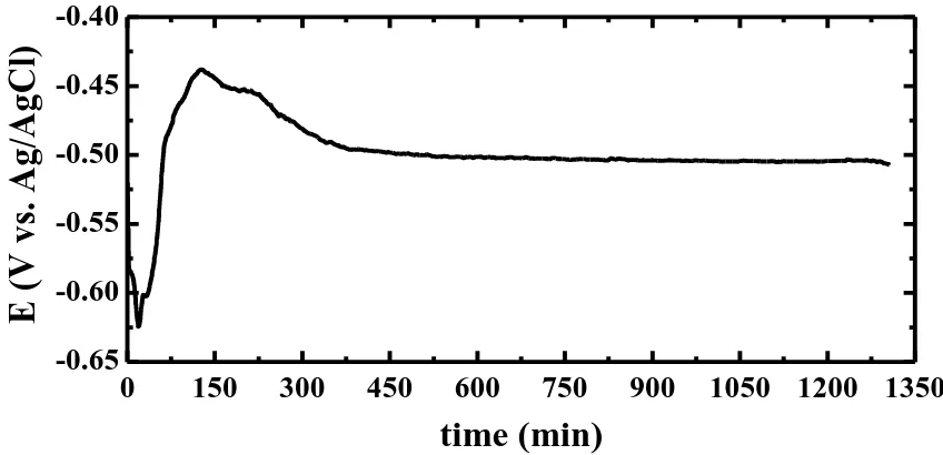 Figure 4.  Open-circuit potential curves obtained for the API 5L grade X-70 pipeline steel in 4.0 wt.% NaCl solutions