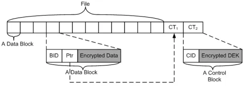 Fig. 4.Illustration a ﬁle organized into blocks with multiple control blocks.