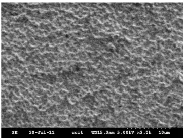 Figure 1. SEM micrograph of the surface of the 1045-Ni-Cr(700-2). 