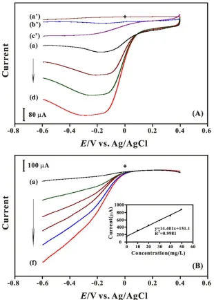 Figure 3.  (A) LSVs of GNP-f-CNT modified GCE in 0.05 M pH 7 PBS containing dissolved oxygen (a) 0.0, (b) 10, (c) 20 and (d) 30 mg/L