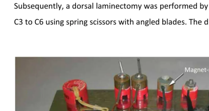 Fig. 2-1 Equipment for positioning of the animal  