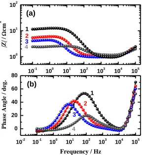 Figure 5.  (a) Bode impedance and (b) Bode phase angle plots obtained for C-250 maraging steel electrodes after their immersion in 1.0 M H2SO4 solutions for (1) 10 min, (2) 1 h, (3) 4 h and (4) 24 h at room temperature