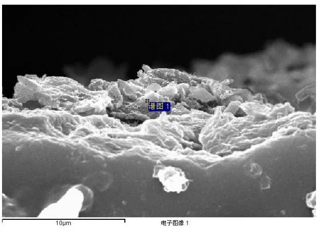 Figure 15.  The photography of the section of AZ31 alloy in artificial plasma for 15 days at 37°C 