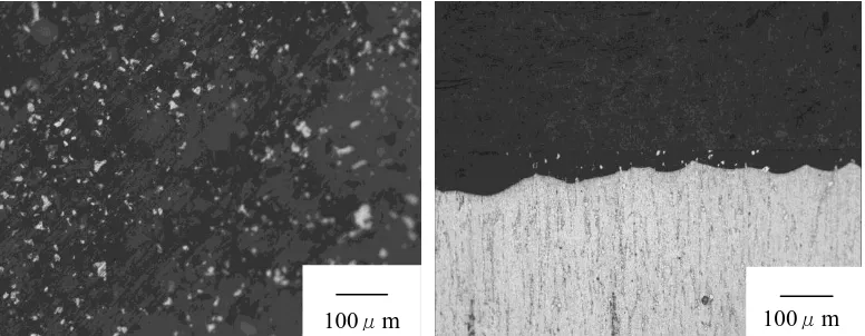 Figure 8. The optical microstructure photograph of as-extruded AZ11+RE alloys 
