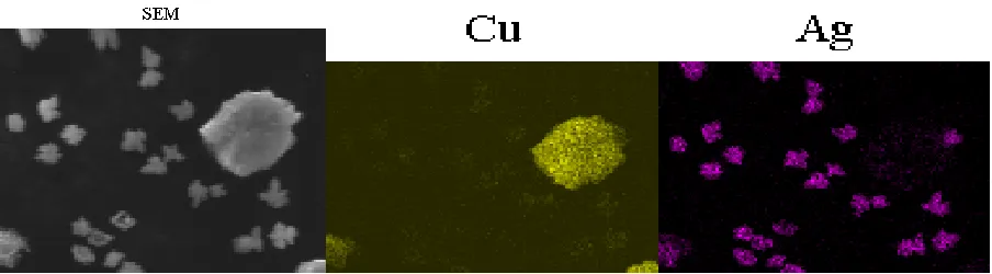 Figure 8.  SEM image and map illustrating silver and copper particles distribution on stainless steel electrode