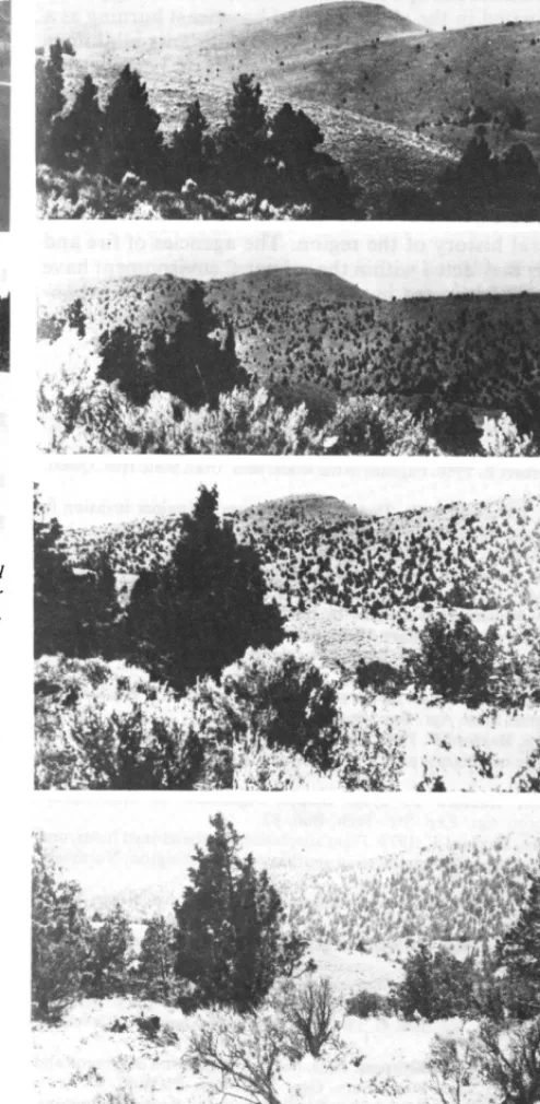 Fig. 6 A. 1920; B. 1942; C. 1956: and D. 1965. 