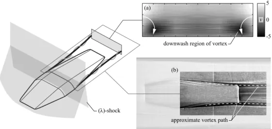 Figure 2: Measurements of vortices on SCBs, adapted from Bruce et al. [17]: (a) vertical velocities; (b) surface oil flow