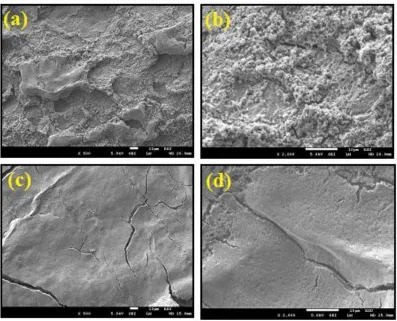 Figure 10. SEM images obtained for the surface of the high strength steel after 180 min immersion in 2.0 M H2SO4 solution (a), (b) alone and in the presence of AMTA molecules (c), (d), respectively