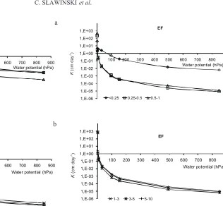Fig. 2. Hydraulic conductivity coefficients vs water potential forEutric�Fluvisol�(EF)�aggregates:�a�–�<�1�mm,�b�–�>1�mm.