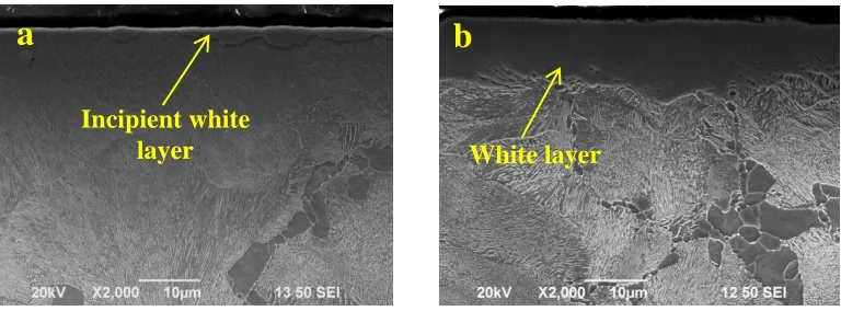 Figure 1.  SEM surface views of samples processed using current densities of a) 0.5 mA/cm2 and b) 1.5 mA/cm2