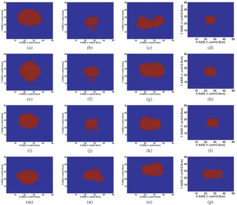 Figure 4. axis of target id T4. (o) Raw 2D TWRI Image obtained using frequencywavenumber imaging method on imaging plane alongYimaging plane alongRaw 2D TWRI Image obtained using backprojection imaging method on imaging plane alongof target id T3