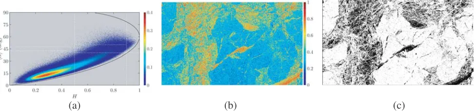 Figure 3. Properties of L-band image in ROI 1, (a) PDF in(c) pixels with SNR H/⟨α⟩ plane, (b) polarimetry entropy H, < 6 dB are marked black.