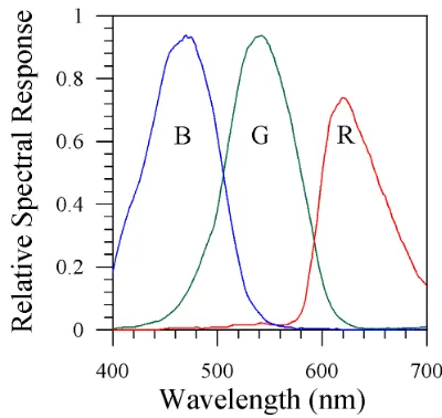 Fig. 1. Relative spectral response of the ICX085AK CCD sensor forthe red (R), green (G) and blue (B) channels, taking into account theinfrared ﬁlter included in the RETIGA 1300C camera.