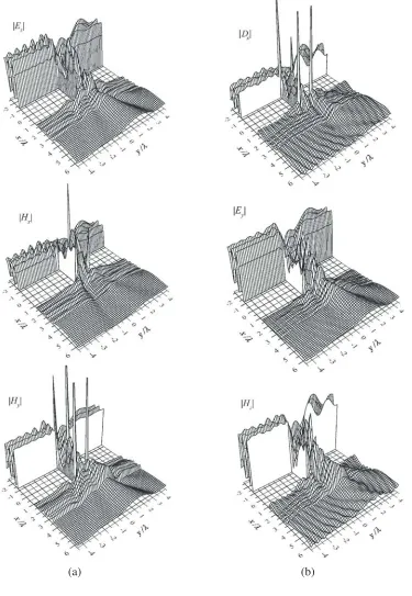 Figure 7.The pattern of spatial distribution of the electric and magnetic ﬁelds in magnitude atA wave propagates from the side of negativescreen at the distancea conducting screen of thickness 2diﬀraction of (a) H-polarized and (b) E-polarized plane wave b