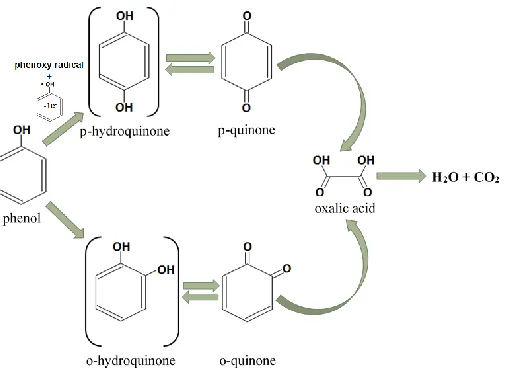 Figure 3 . Schematic representation of electrochemical phenol degradation processes [1, 3-6, 9]