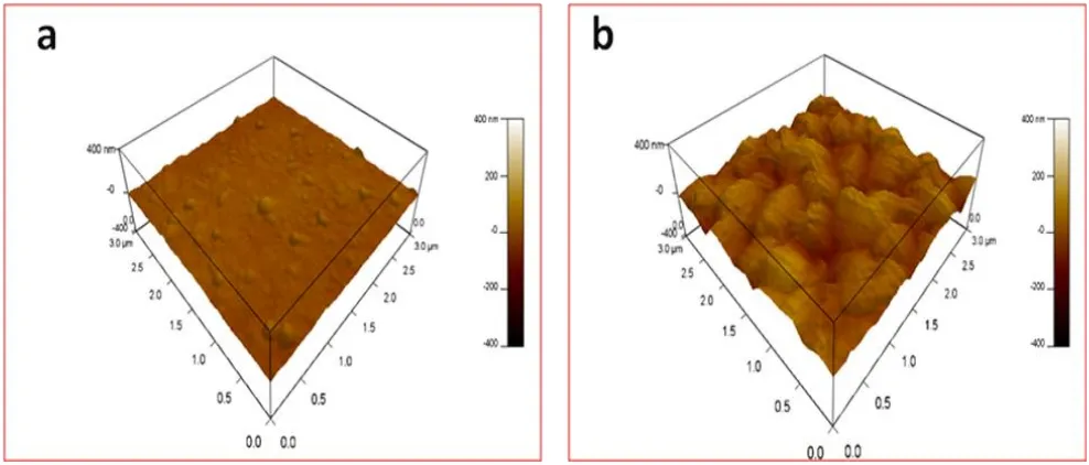 Figure 5.  3-D AFM images of synthesized coatings; (a) Ni-B and Ni-B-ZrO2 alloy coatings in as electrodeposited state