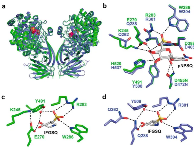Figure S5a). To ensure that the active site structure had not