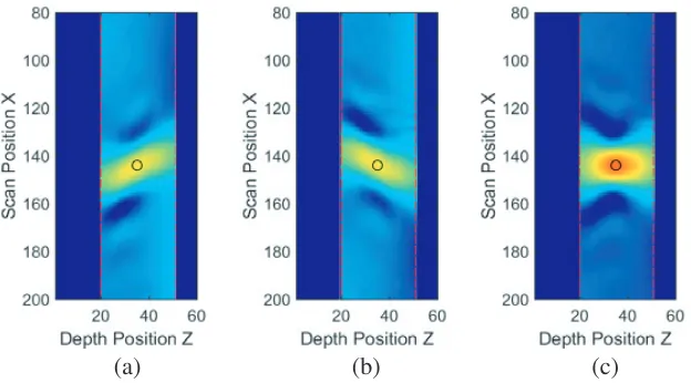 Figure 4. (a) and (b) Calculated projectionswas applied intentionally, and the projections are therefore rather blurred