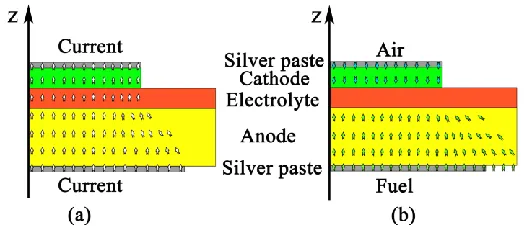 Figure 1.  Schematic representation of charge and gases transport processes in the button cell