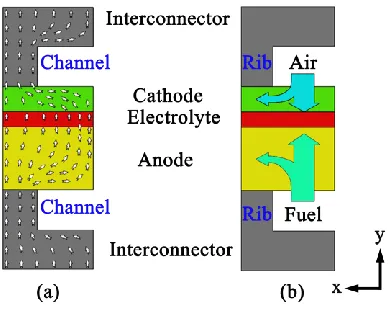Figure 2.  Schematic representation of charge and gases transport processes in the stack
