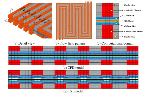 Figure 3.  Two 25 cm2 serpentine flow-field patterns of 5-passes and 4-turns; (a) Detail view, (b) Flow field pattern, (c) computational domain, (d) CFD model and (e) FSI model