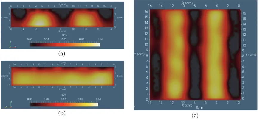 Figure 4. Image reconstructions for phantom having buried high conductivity (1 S/m) strips in a lowconductivity (∼ 0 S/m) background; slice (a) normal to Y -axis; slice (b) normal to X-axis, X ∼ 4.5 cm;slice (c) normal to Z-axis; β0 ≈ 0.267 S/m from (12) to set shift.