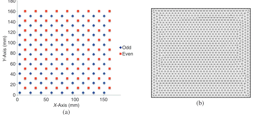 Figure 3. (a) Odd-Even sampling pattern over phantom; (b) 16.5 × 16.5 cm FE mesh — extruded to3.0 cm thickness.