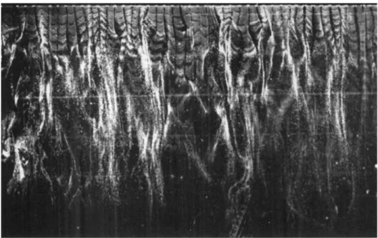 Figure 2.2 H 2  bubble visualization of near-wall “streaky” structures, collected at y +  = 9.6