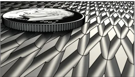 Figure 3.6 Perspective view of diamond roughness elements, looking downstream. U.S. dime is  included for scale comparison 