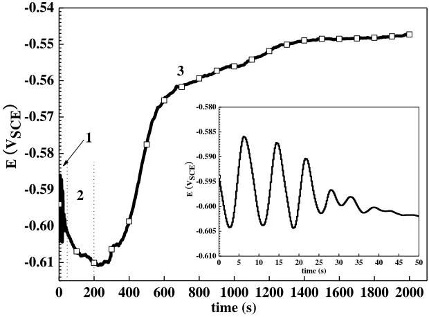 Figure 1.  Potential-time curve of magnesium alloy AZ91D immersed in the phosphating bath at 45 ℃