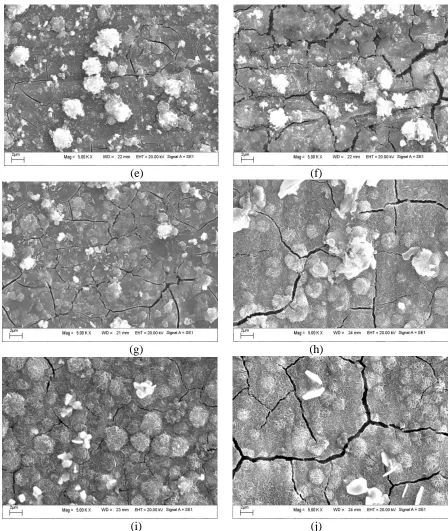 Figure 2.  Surface SEM morphologies of the magnesium alloy sample immersed in the phosphating bath with different time: (a) 0 s, (b) 10 s, (c) 30 s, (d) 40 s, (e) 100 s, (f) 200 s, (g) 5 min, (h) 10 min, (i) 20 min and (j) 30 min
