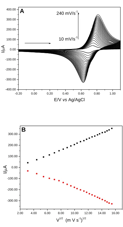 Figure 10. (A) Cyclic voltammograms of the graphite paste modified with CuHSA at different scan rates (10-240 mV s-1) (20% w/w, KCl 1.0 mol L-1, pH 7.00)