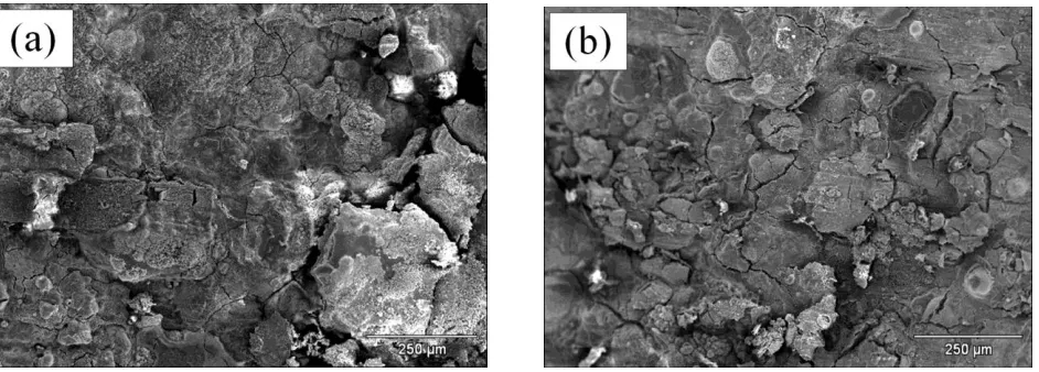 Figure 6. Micrographs of steel API 5L X-70 T (a) and API 5L X-70 NG (b) at 100X. 