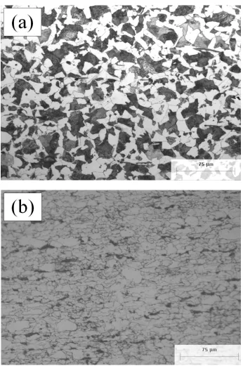 Figure 1. Microstructure of (a) API 5L X-70 T and (b) API 5L X-70 NG steels.  