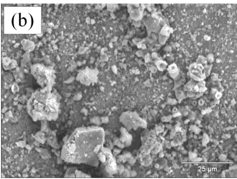 Figure 3.  Micrographs of steel API 5L X-70 T (a) and NG (b) at 1000X immersion test after 24h