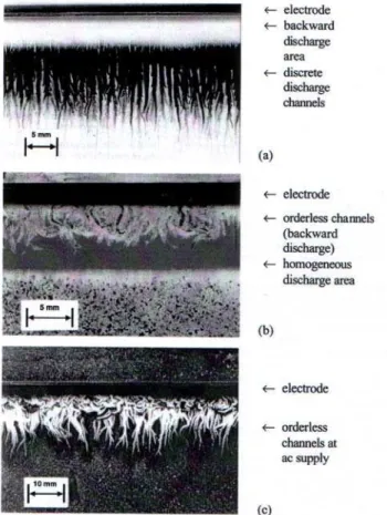 Figure 2.4.5. Discharge patterns on the dielectric surface of a surface  discharge plasma actuator (dust figures)