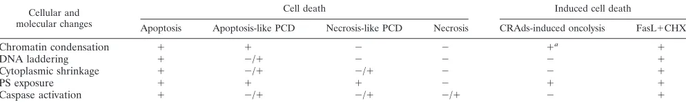 TABLE 1. Summary of apoptotic features found in H460 cells infected with Ad�24-based CRAds and mode of cell death