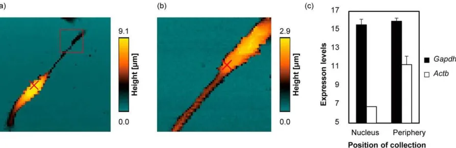 Figure 6. Nanoscale topography imaging and RNA sampling. (a) Representative SICM image 