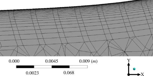 Figure 4. Close views of the inflation layer. 