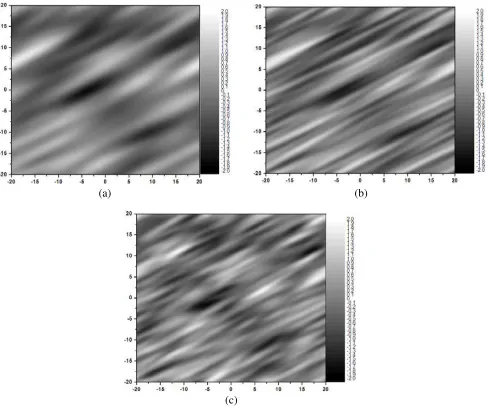 Figure 1. The simulated 2-D Gaussian rough surfaces with texture characteristics: (a)langle is 30 lx = 10 m,y = 2 m, σ = 0.6 m