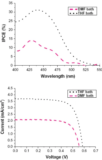 Figure 4. IPCE spectra and J–V curves of DSSCs based on CD-7 sensitized by different solvents