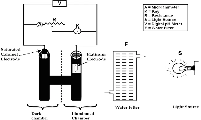 Figure 2.  Experimental set-up of photogalvanic cell. 