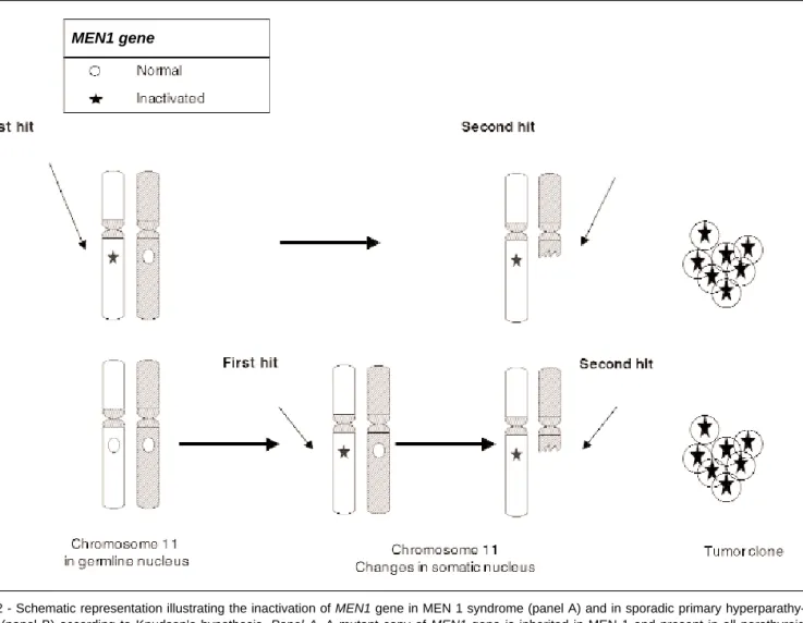 Table II - Menin interacting proteins.