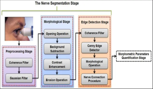 Figure 3.1: Overview of the automatic proposed corneal nerve segmentation  and quantification system