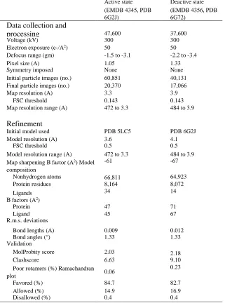 Table 1. Cryo-EM data collection, refinement and validation statistics.   Active state Deactive state 